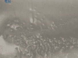 tpu膜 TPU防水透濕膜 本色中高透 tpu膜卷材 型號(hào)：ZC-ZGD-0.025